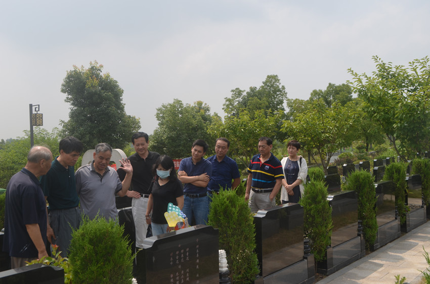 DSC_0445.jpg